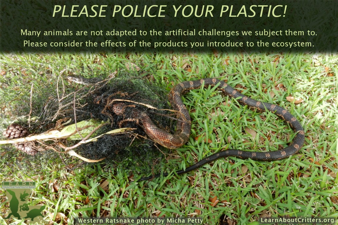 Think before using plastic products