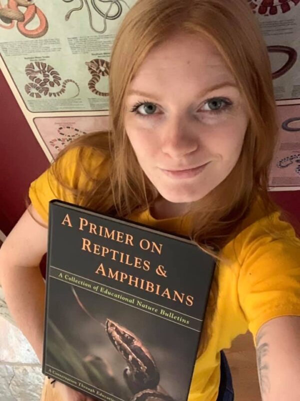 A Primer on Reptiles & Amphibians - Image 2