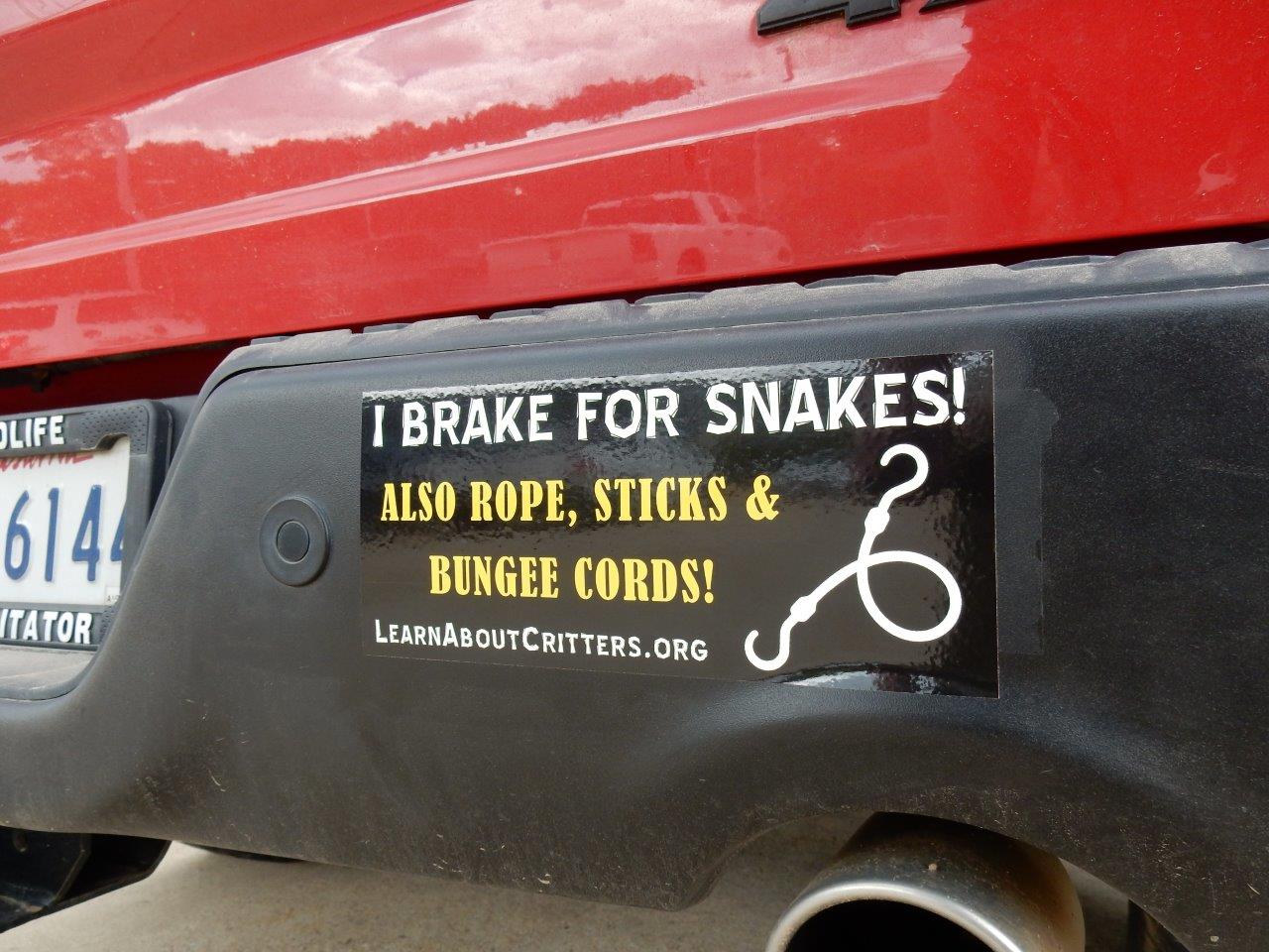 I BRAKE FOR SNAKES BUMPER STICKER 