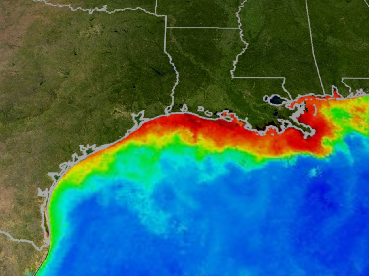 Image courtesy of the NASA Mississippi Dead Zone web site.