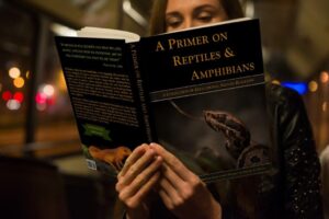 A Primer on Reptiles and Amphibians