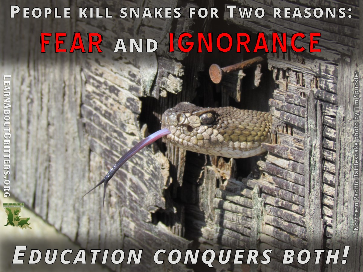 Education Conquers Fear