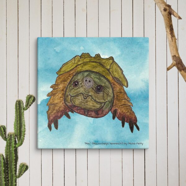 Alligator Snapping Turtle Original Art Canvas - Image 3