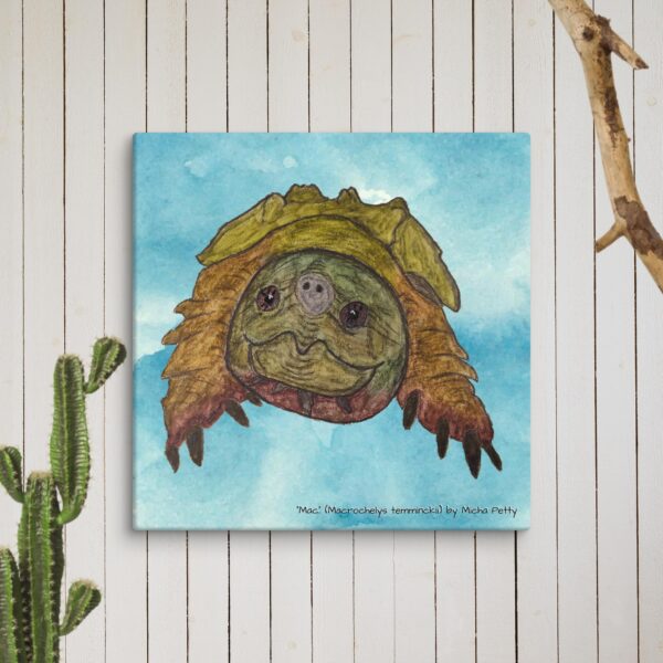 Alligator Snapping Turtle Original Art Canvas
